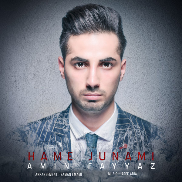 دانلود آهنگ همه جونمی